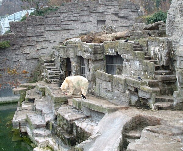 Шьонбрун - най-старата зоологическа градина в света (Schonbrunn Zoo)